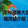 怎樣提高大豆種植效益（關(guān)于怎樣提高大豆種植效益介紹）
