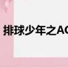 排球少年之ACE（關(guān)于排球少年之ACE簡介）