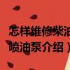 怎樣維修柴油機(jī)噴油泵（關(guān)于怎樣維修柴油機(jī)噴油泵介紹）