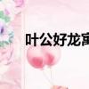 葉公好龍?jiān)⒁猓ǜ嬖V了我們什么道理）