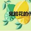 鬼臉花的傳說（有關(guān)于鬼臉花的傳說）