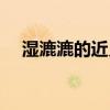 濕漉漉的近義詞是什么（濕漉漉的意思）