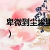 卑微到塵埃里什么意思（卑微到塵埃里的解釋）