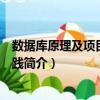 數據庫原理及項目開發(fā)實踐（關于數據庫原理及項目開發(fā)實踐簡介）