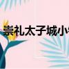 崇禮太子城小鎮(zhèn)（關(guān)于崇禮太子城小鎮(zhèn)簡介）