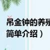吊金鐘的養(yǎng)殖方法是什么（吊金鐘的養(yǎng)殖方法簡單介紹）