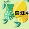 崇陽坪村（關(guān)于崇陽坪村簡介）