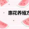 惠花養(yǎng)殖方法（惠花的養(yǎng)殖方法介紹）