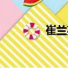 崔蘭英（關(guān)于崔蘭英簡介）