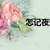 怎記夜安（關(guān)于怎記夜安介紹）