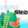探秘動(dòng)物（關(guān)于探秘動(dòng)物簡(jiǎn)介）