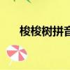 梭梭樹拼音怎么念（梭梭樹是什么樹）