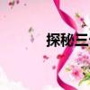 探秘三七（關(guān)于探秘三七簡介）