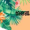 怕你孤單（關(guān)于怕你孤單介紹）