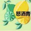 怒灑青春（關(guān)于怒灑青春介紹）