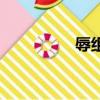 辱組詞（辱組詞有哪些）