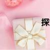 探丸（關(guān)于探丸簡(jiǎn)介）