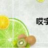 哎字組詞語(yǔ)（哎咋組詞）