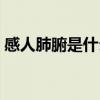 感人肺腑是什么意思（感人肺腑解釋及出處）