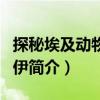 探秘埃及動物木乃伊（關(guān)于探秘埃及動物木乃伊簡介）