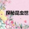 探秘昆蟲世界（關(guān)于探秘昆蟲世界簡介）