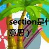 section是什么意思中文翻譯（section是啥意思）