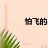 怕飛的鳥（關(guān)于怕飛的鳥介紹）