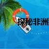 探秘非洲獅（關于探秘非洲獅簡介）