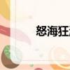 怒?？駶P(guān)于怒海狂濤介紹）