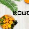 長白山在哪個(gè)?。ㄩL白山的簡介）