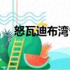 怒瓦迪布灣?。P(guān)于怒瓦迪布灣省介紹）