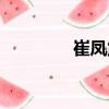 崔鳳震（關(guān)于崔鳳震簡介）
