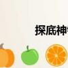 探底神針（關(guān)于探底神針簡介）