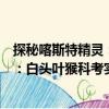 探秘喀斯特精靈：白頭葉猴科考實(shí)錄（關(guān)于探秘喀斯特精靈：白頭葉猴科考實(shí)錄簡(jiǎn)介）