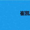 崔凱軍（關(guān)于崔凱軍簡介）