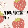 探秘動物王國：奇異視界（關(guān)于探秘動物王國：奇異視界簡介）