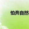 怕奔自然村（關(guān)于怕奔自然村介紹）