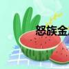 怒族金屬（關(guān)于怒族金屬介紹）