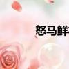 怒馬鮮衣（關(guān)于怒馬鮮衣介紹）