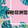 探秘非洲雪山（關于探秘非洲雪山簡介）