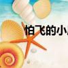 怕飛的小鷹（關(guān)于怕飛的小鷹介紹）