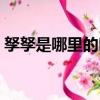 孥孥是哪里的叫法（孥孥屬于哪里的讀音呢）