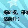 探礦權(quán)、采礦權(quán)評估（關(guān)于探礦權(quán)、采礦權(quán)評估簡介）