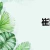 崔凱（關(guān)于崔凱簡介）