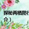 探秘兩棲爬行世界（關(guān)于探秘兩棲爬行世界簡介）