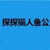 探探貓人魚(yú)公主（關(guān)于探探貓人魚(yú)公主簡(jiǎn)介）