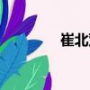 崔北雙（關于崔北雙簡介）