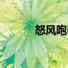 怒風(fēng)咆哮（關(guān)于怒風(fēng)咆哮介紹）