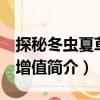 探秘冬蟲夏草 配增值（關(guān)于探秘冬蟲夏草 配增值簡(jiǎn)介）