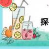 探手（關(guān)于探手簡介）